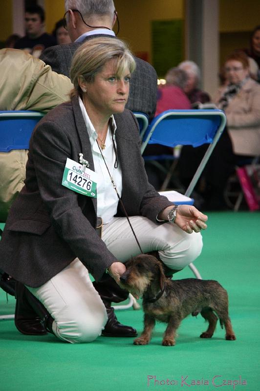 Crufts2011_2 669.jpg